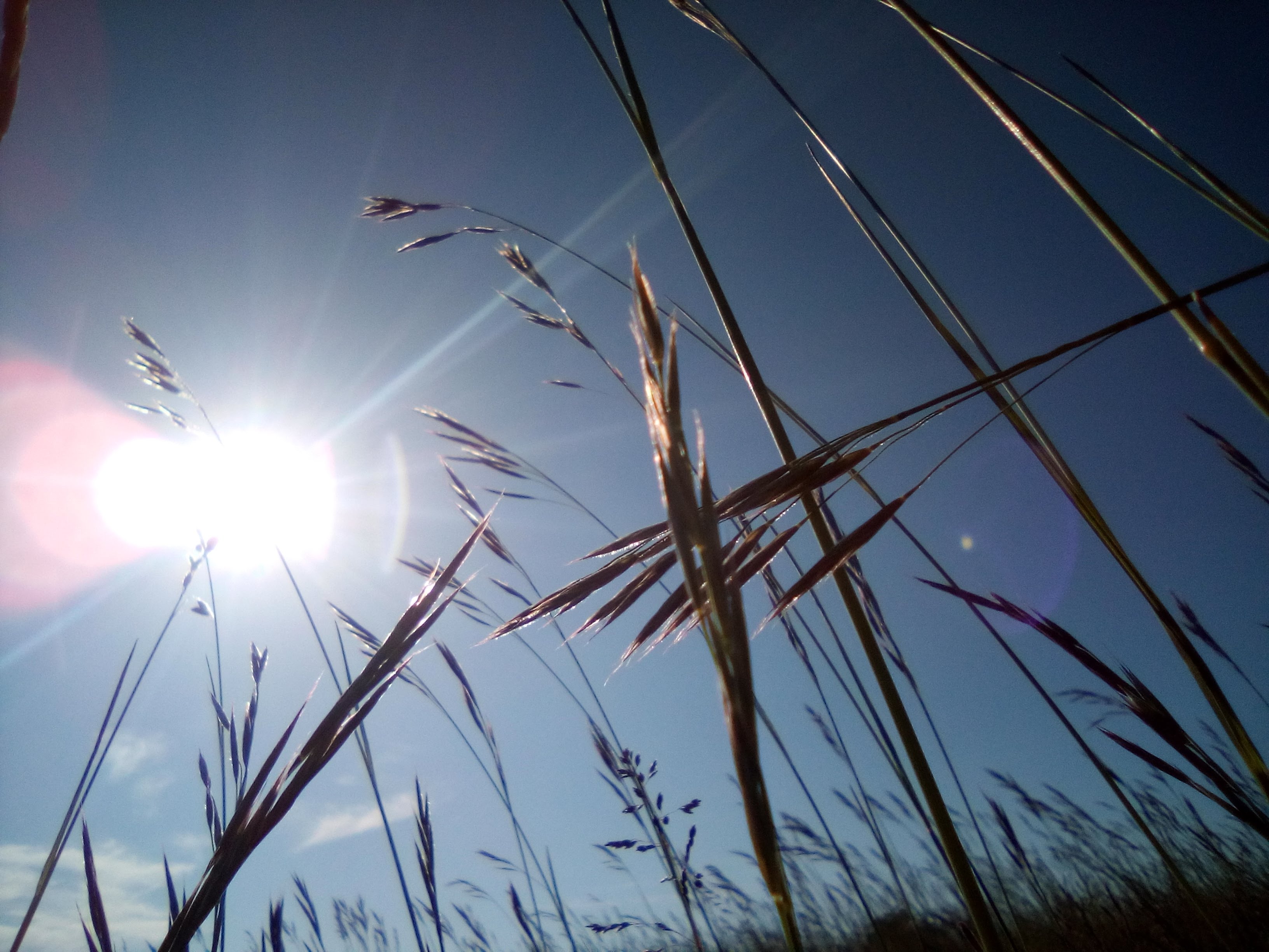 Sommergedicht